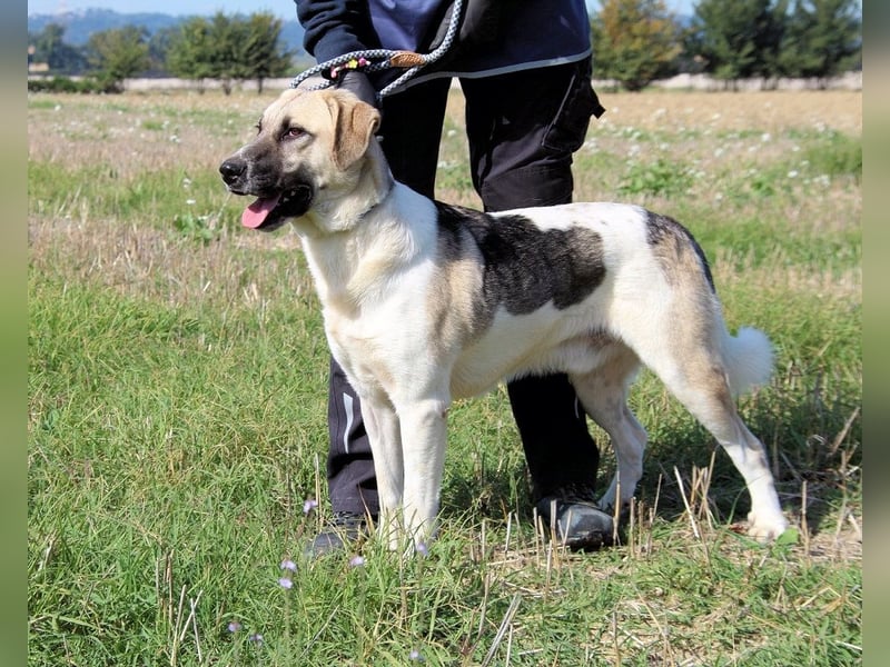 Skitter - Im gedimmten Licht, vor einer geschlossenen Tür