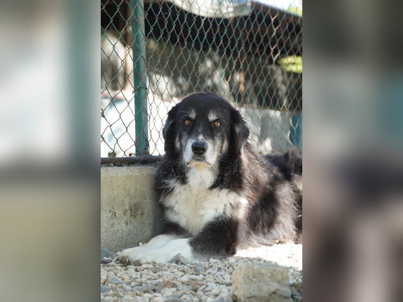 Kuno - Ein Ende in Sicht?