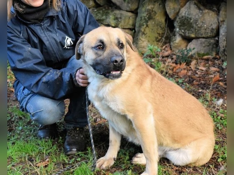Joonas - wohin führt sein Weg?