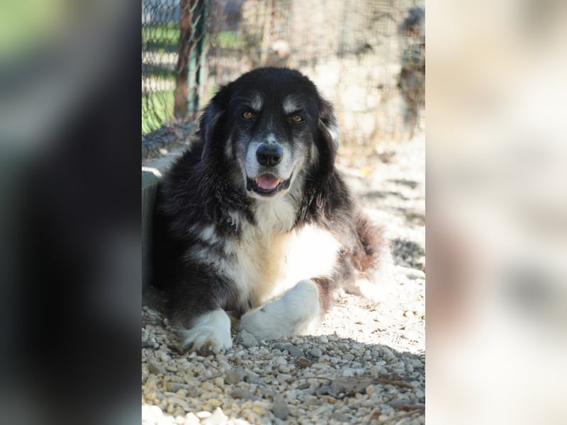 Kuno - Ein Ende in Sicht?