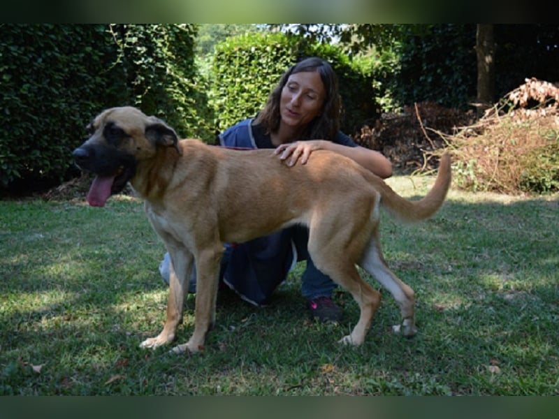 Adhara - Möchte ihre Energie versprühen