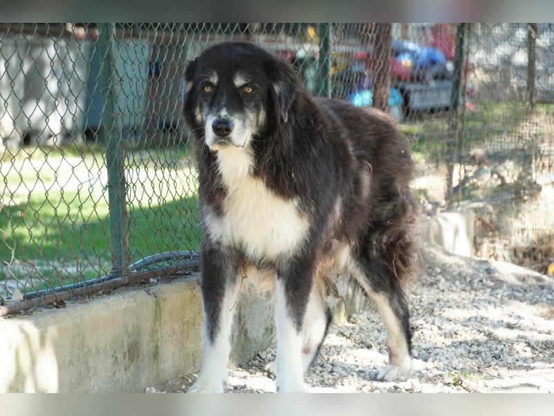 Kuno - Ein Ende in Sicht?