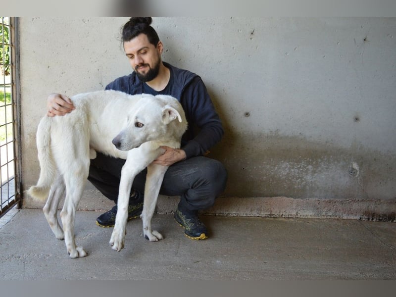 Benoit - SOS - Hellbraune Augen, die sich nach Liebe sehen