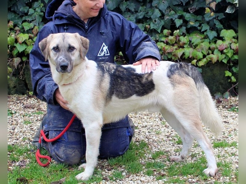 Skitter - Im gedimmten Licht, vor einer geschlossenen Tür