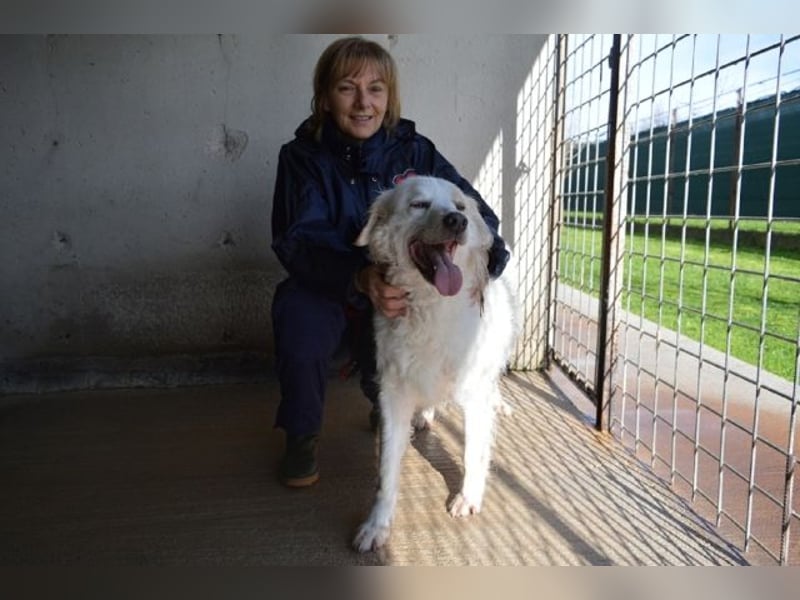 Gualter - und der staubige, unsichtbare Koffer