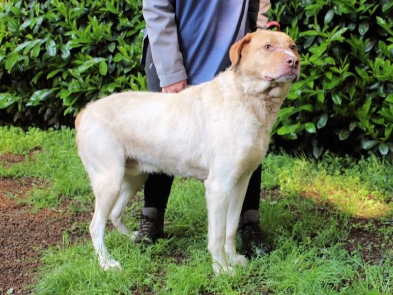 Jamison - möchte glücklich sein