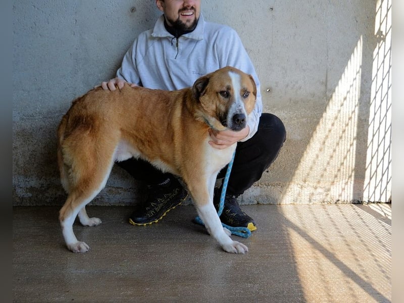 Scotlee - Drei Leben. Drei Chancen.