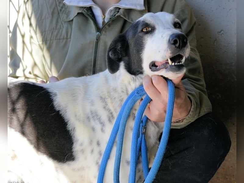 Arleene - ist voll bedingungsloser Liebe