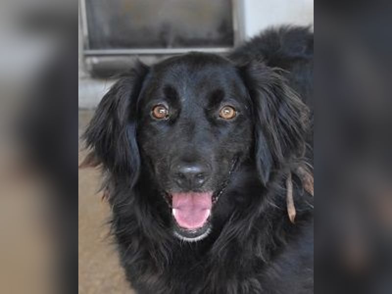 Kael - Nur ein einziges mal die Chance auf Leben