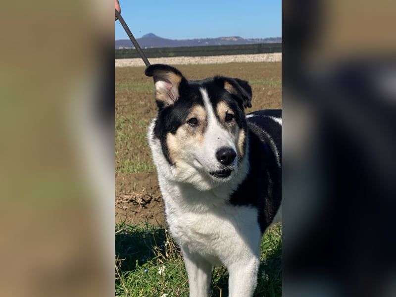 Giangy - Ich hätte da noch Kapazitäten frei