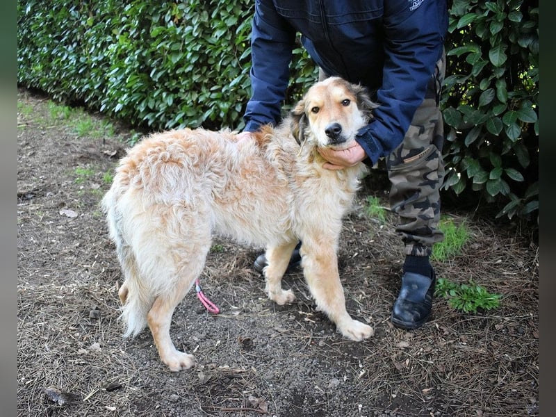 Ligorio - Zwölf, elf, zehn ... eins - Ligorio