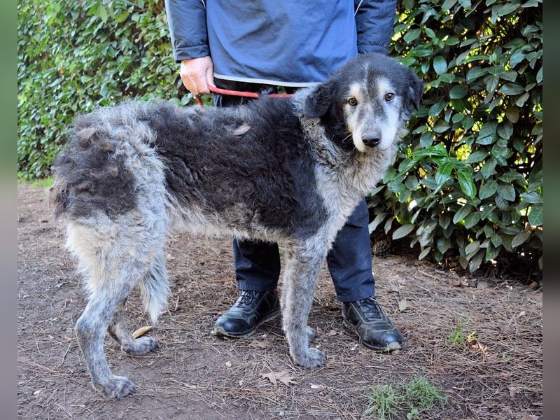 Declan - Irgendwie, irgendwo, irgendwann?