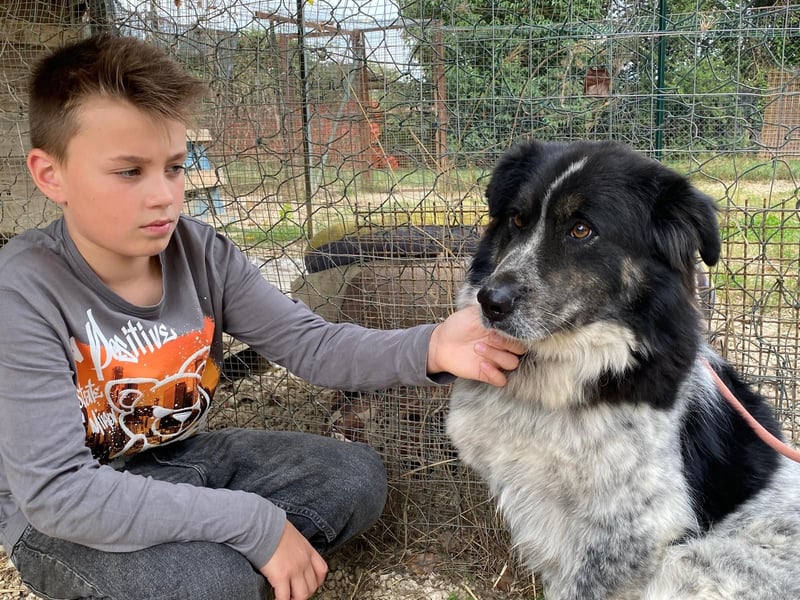 Ray - Zeig mir die Welt außerhalb des Zwingers...