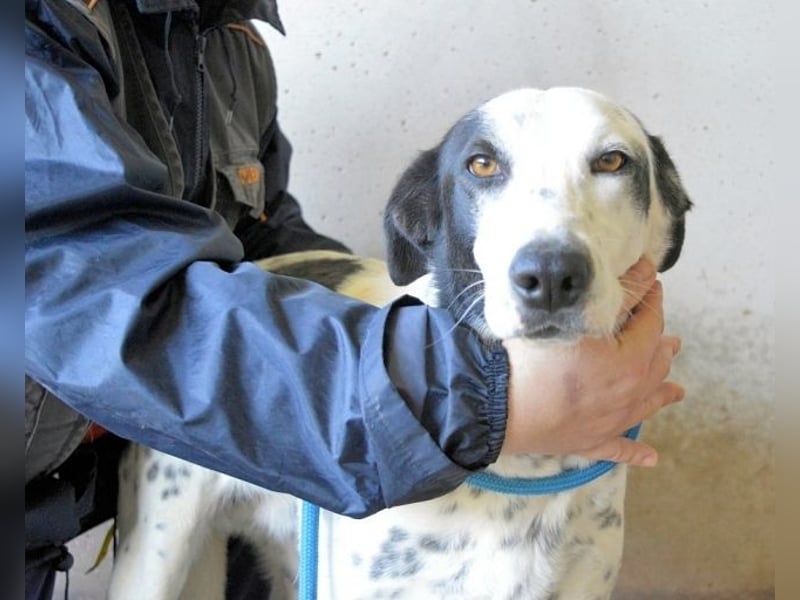 Arleene - ist voll bedingungsloser Liebe