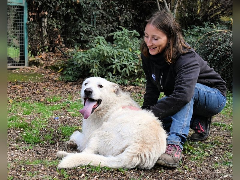 Ozlo - Riesenbaby sucht Freund fürs restliche Leben