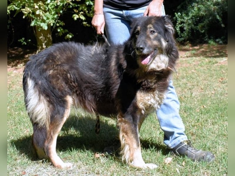 Carolita - und du - ein Dreamteam