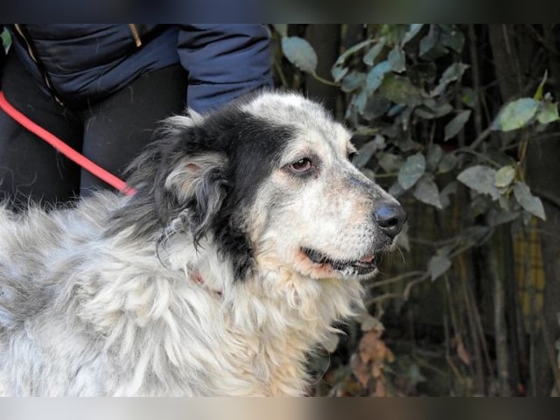 Daiana - der Beginn einer wunderbaren Freundschaft