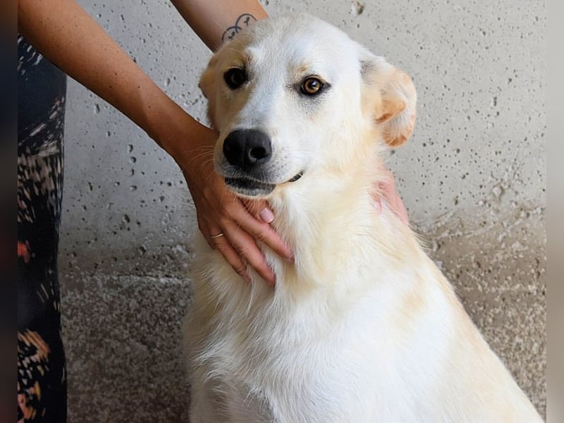 Rurik - Das geheime Feuerwerk