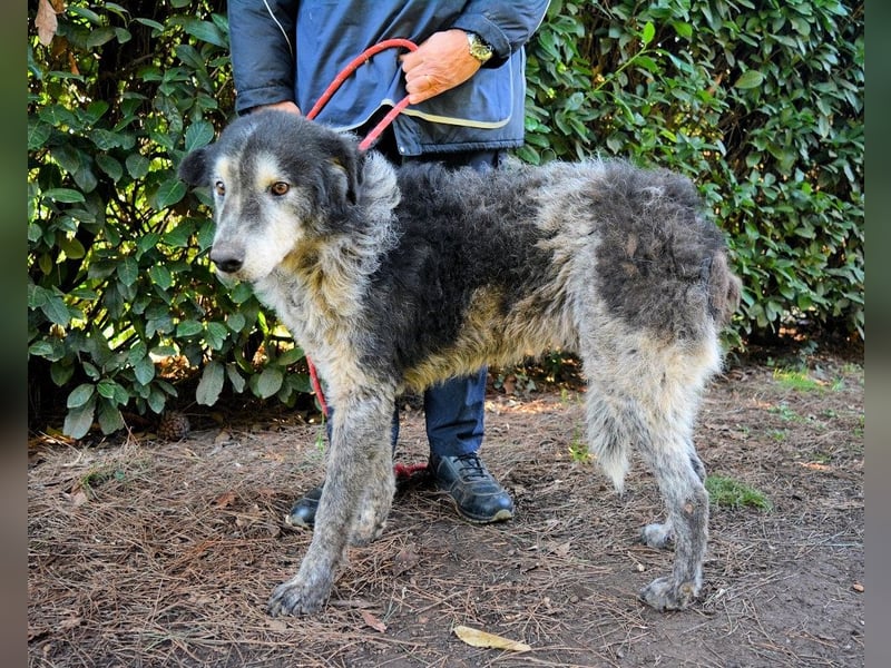 Declan - Irgendwie, irgendwo, irgendwann?