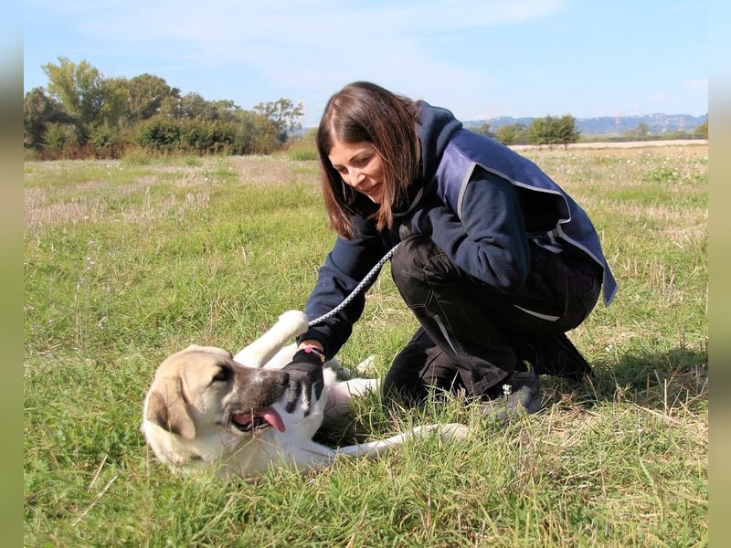 Skitter - Im gedimmten Licht, vor einer geschlossenen Tür