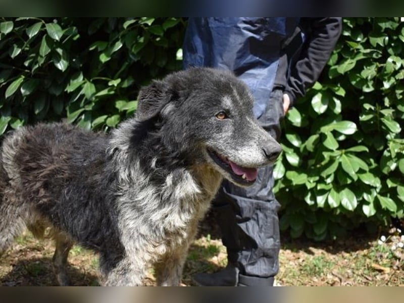 Declan - Irgendwie, irgendwo, irgendwann?