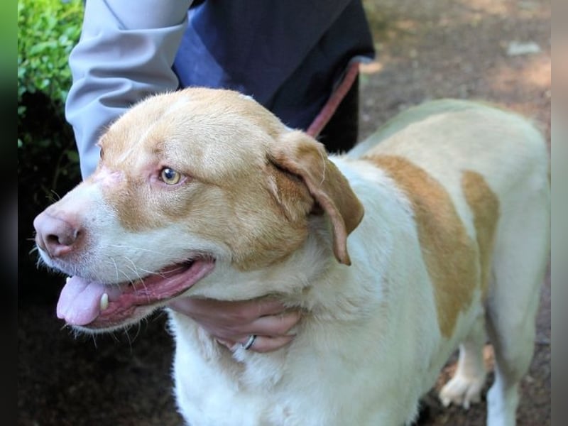 Jamison - möchte glücklich sein