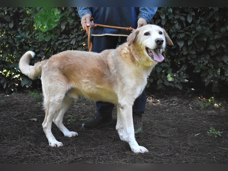 Islay - Menschenherzen-im-Sturm-Eroberer