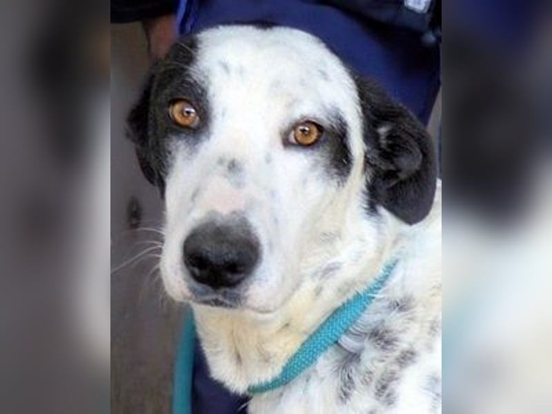 Arleene - ist voll bedingungsloser Liebe