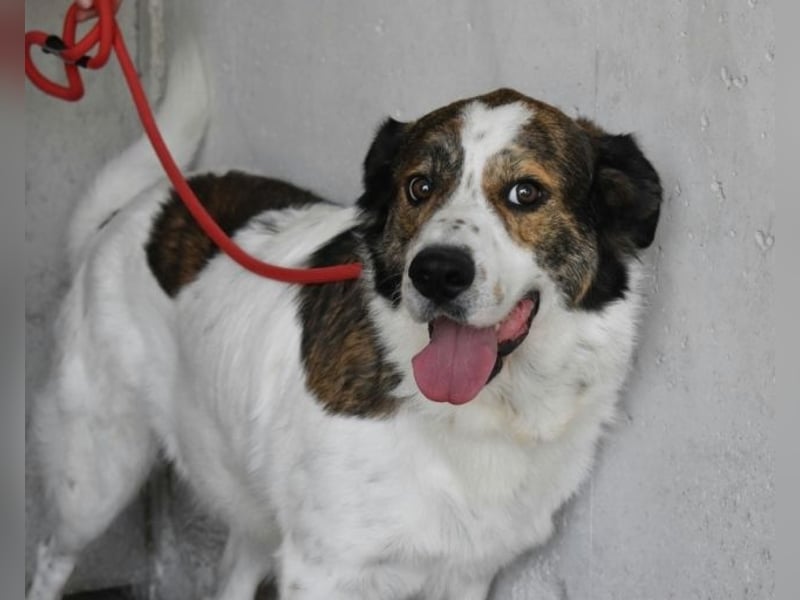 Jontar - Die Geschichte, die keiner liest