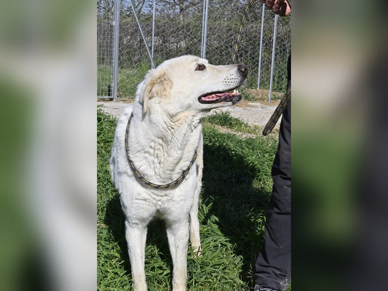 Clara - geht ihren Weg weiter