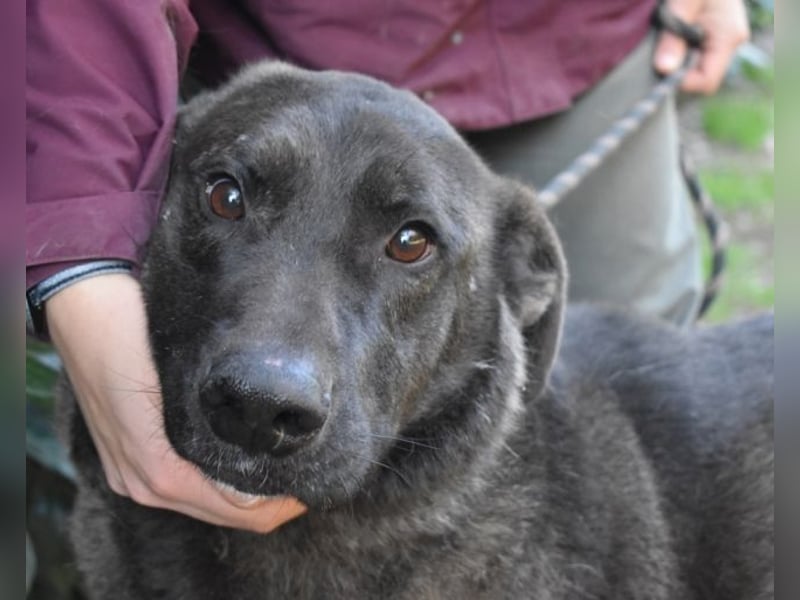 Godfried - When the night has come