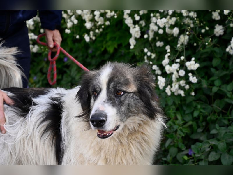 Poncio - wird zum Musterschüler