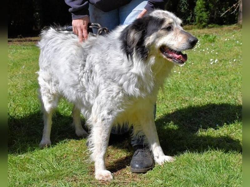 Daiana - der Beginn einer wunderbaren Freundschaft