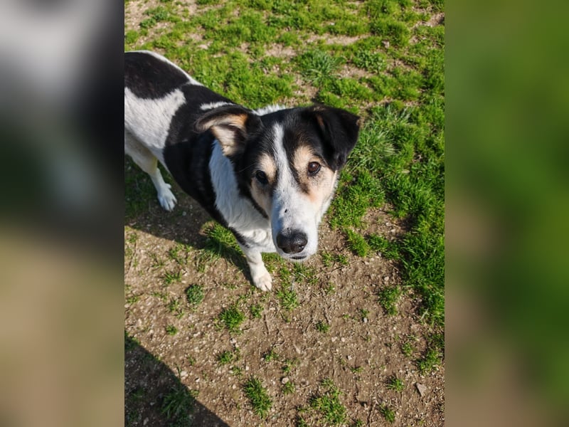 Giangy - Ich hätte da noch Kapazitäten frei