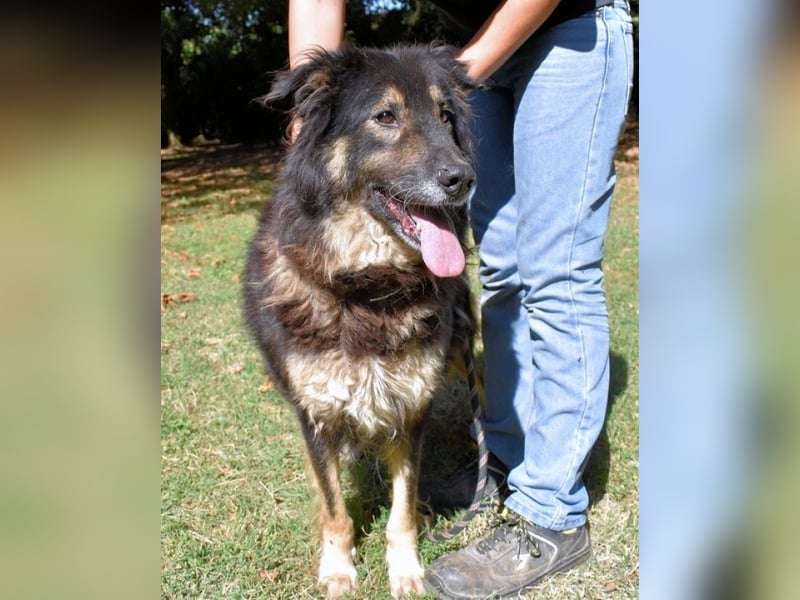 Carolita - und du - ein Dreamteam