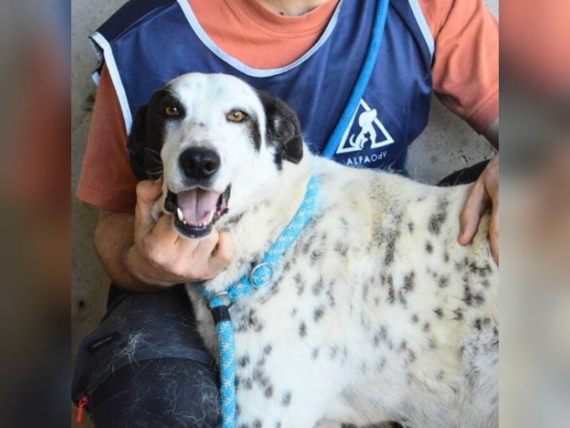 Arleene - ist voll bedingungsloser Liebe