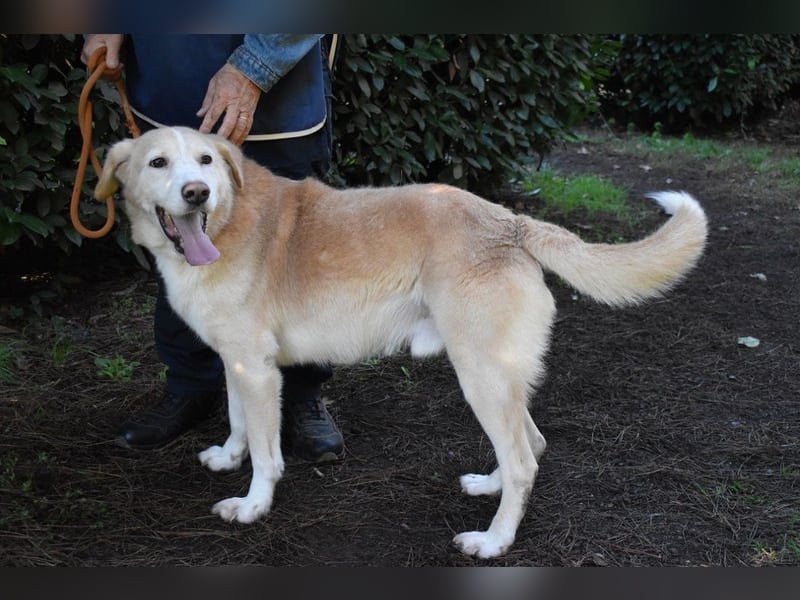Islay - Menschenherzen-im-Sturm-Eroberer
