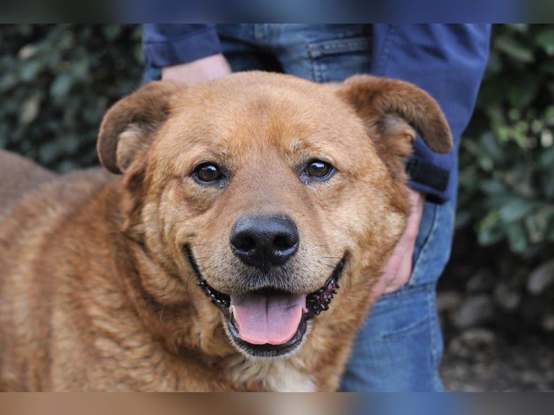 Vivaldo - ...steht vor der falschen Tür