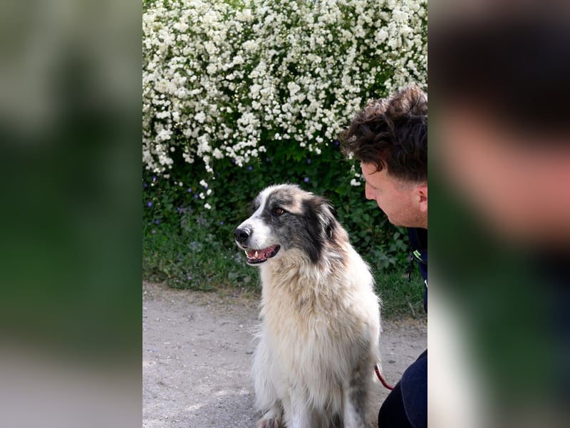 Poncio - wird zum Musterschüler