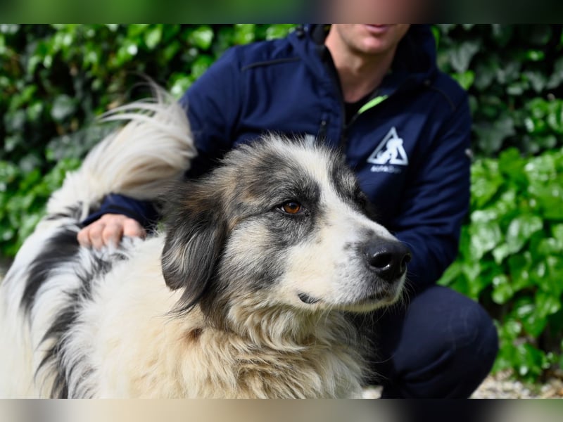 Poncio - wird zum Musterschüler