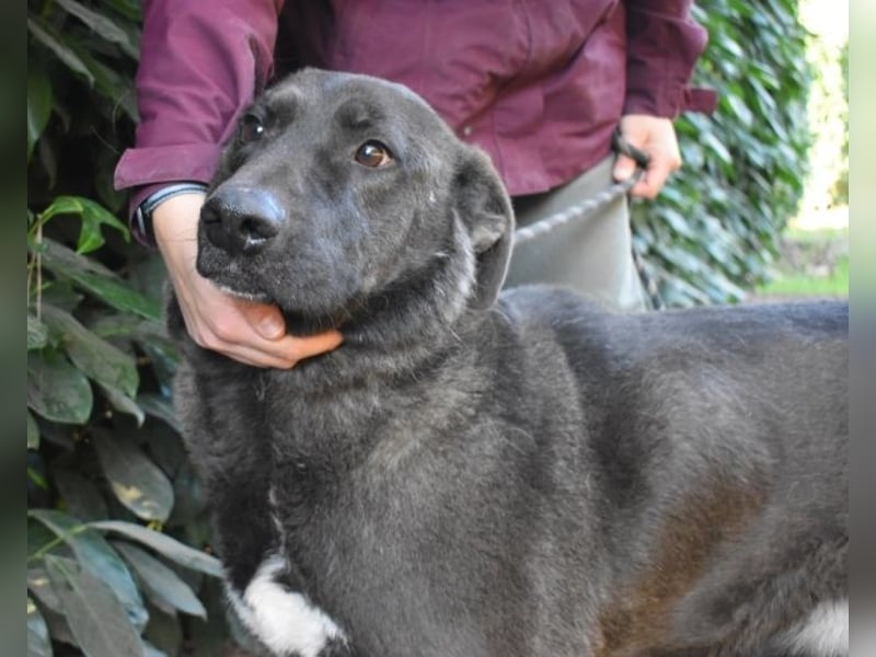 Godfried - When the night has come