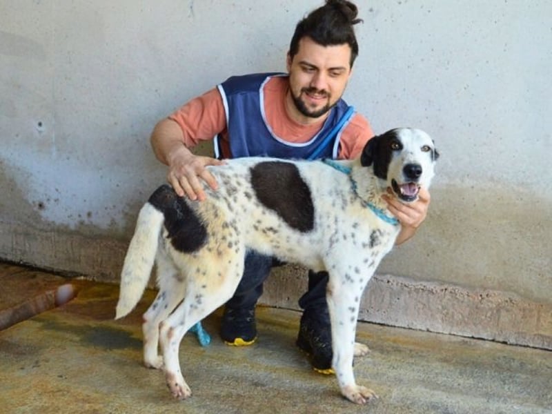 Arleene - ist voll bedingungsloser Liebe