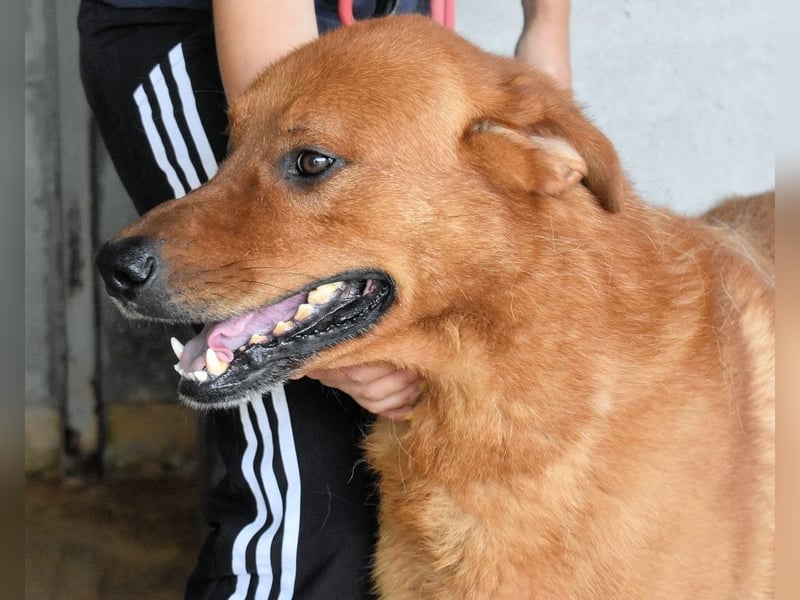 Antwin - irgendwo ist alles schön!