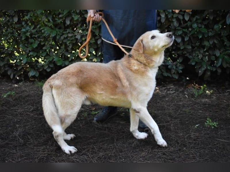 Islay - Menschenherzen-im-Sturm-Eroberer