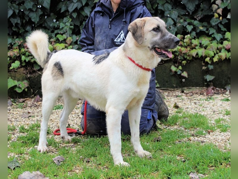 Skitter - Im gedimmten Licht, vor einer geschlossenen Tür