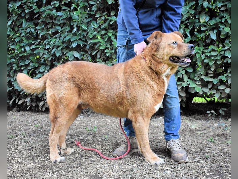 Vivaldo - ...steht vor der falschen Tür