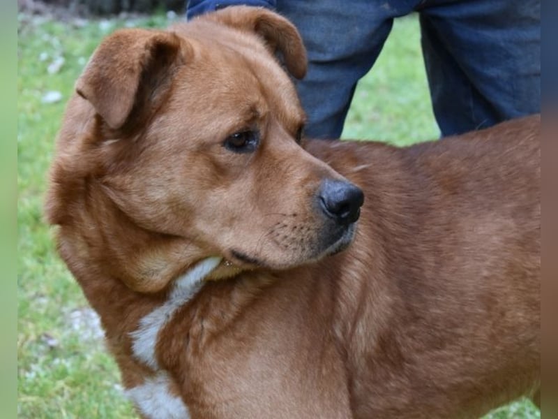 Vivaldo - ...steht vor der falschen Tür