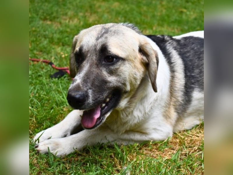 Skitter - Im gedimmten Licht, vor einer geschlossenen Tür