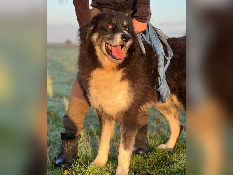 Kuno - Ein Ende in Sicht?