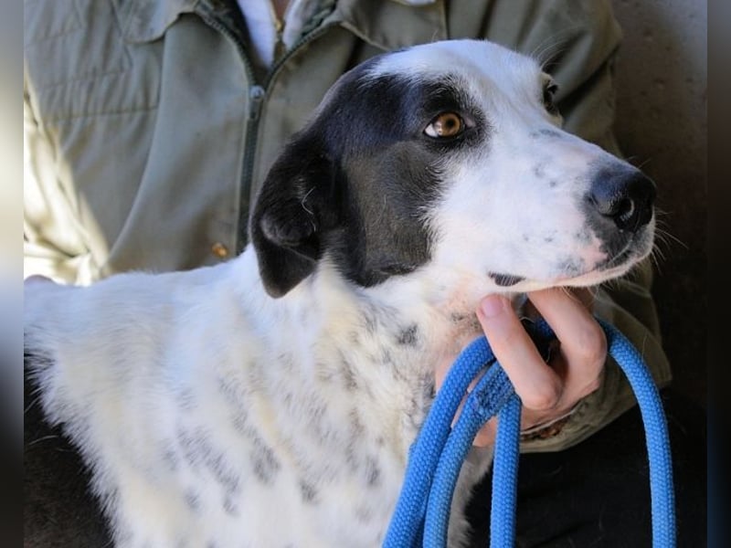 Arleene - ist voll bedingungsloser Liebe